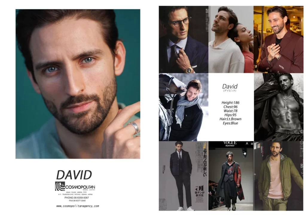 DAVID コンポジットカード